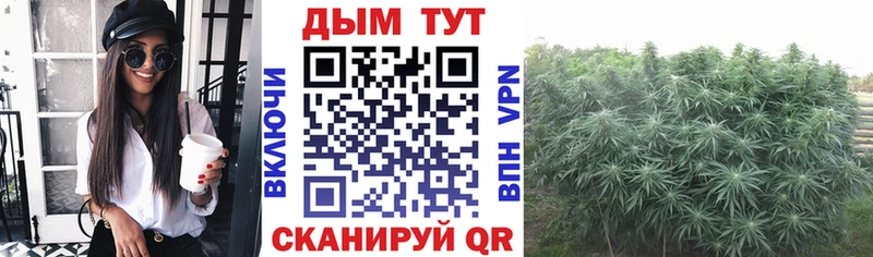 Бошки Шишки Свирск