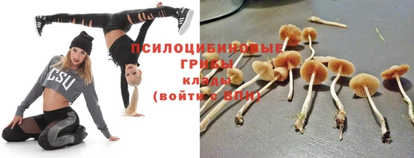 ALPHA PVP Баксан